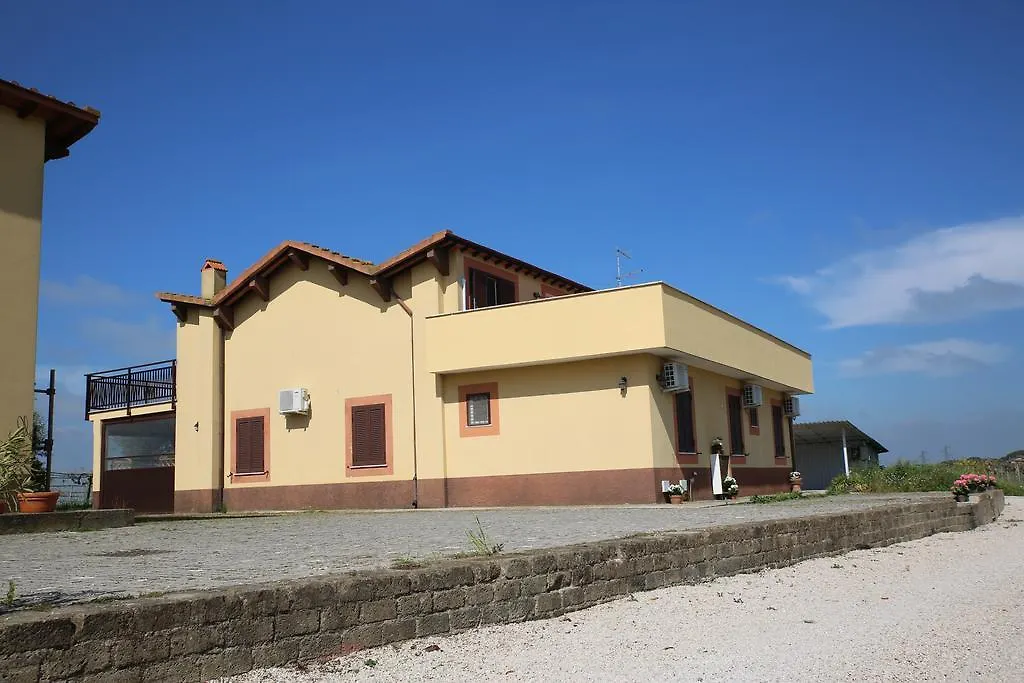 Grappoli di Sole-1